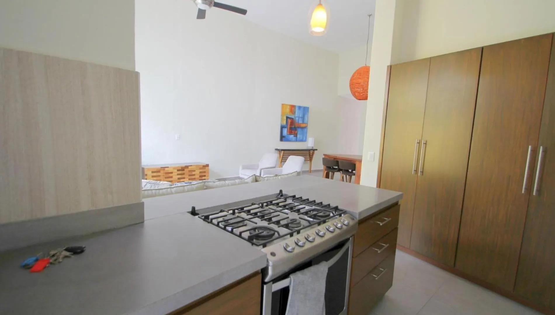度假居 Stylish Home with Roof-Top Patio - Historic Centre 马萨特兰